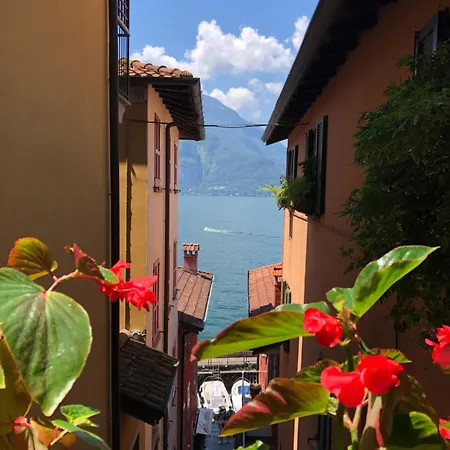 The Cypress House - Historical Center With Ac