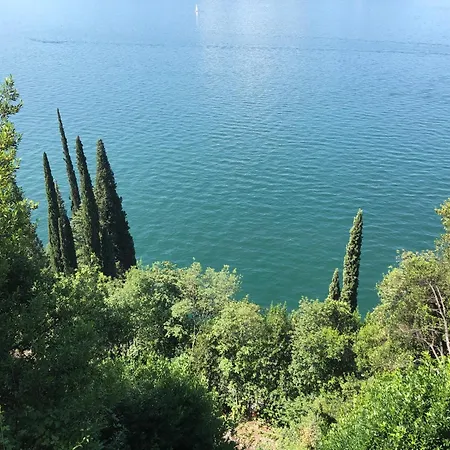 The Cypress House - Historical Center With Ac Апартаменты