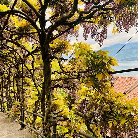 The Cypress House - Historical Center With Ac * Варенна