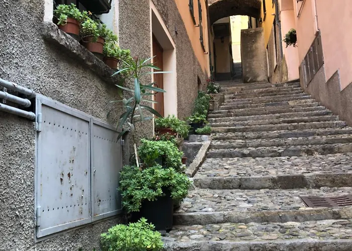 The Cypress House - Historical Center With Ac Lägenhet