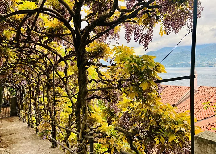 The Cypress House - Historical Center With Ac * Varenna